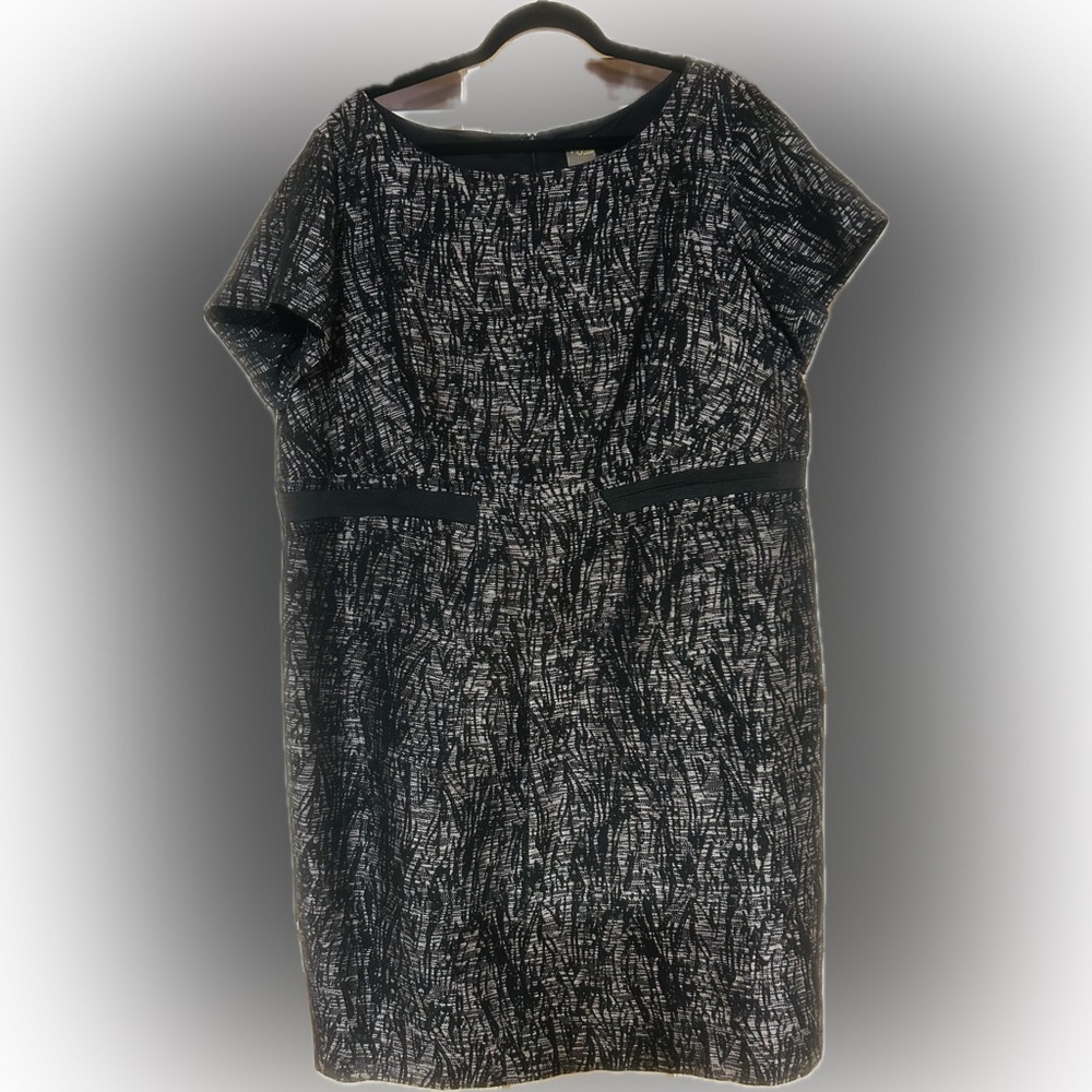 Taylor Woman Silver and Black Zebra Dress Plus Size 22